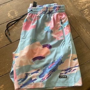 Never worn Large LSKD shorts